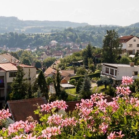 Bed and Breakfast Element Český Krumlov Esterno foto